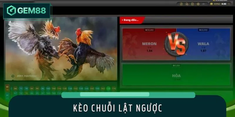 Kèo chuỗi lật ngược cực hấp dẫn