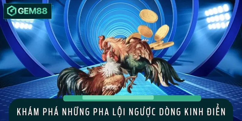 Đấu trường gà C1 luôn khiến người xem nghẹt thở
