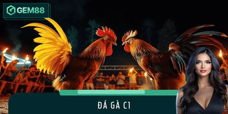 Trực Tiếp Đá Gà C1 Nghẹt Thở, Chỉ Có Tại Nhà Cái GEM88
