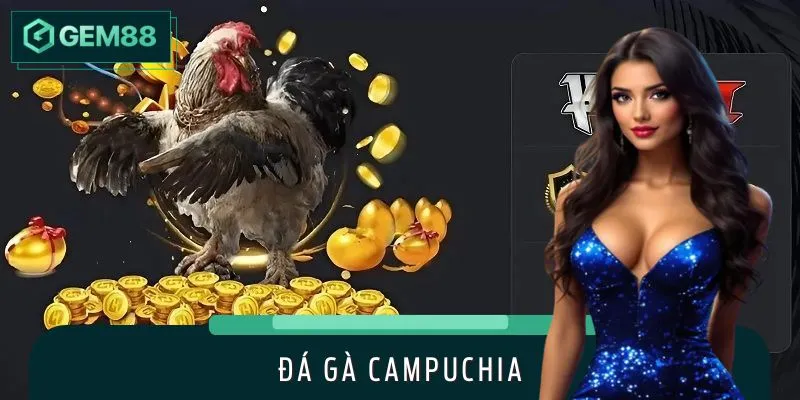 Trải Nghiệm Đá Gà Campuchia Gay Cấn, Cực Phẩm Giải Trí 2025