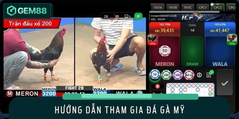 Người chơi bước vào sảnh đá gà trong nháy mắt