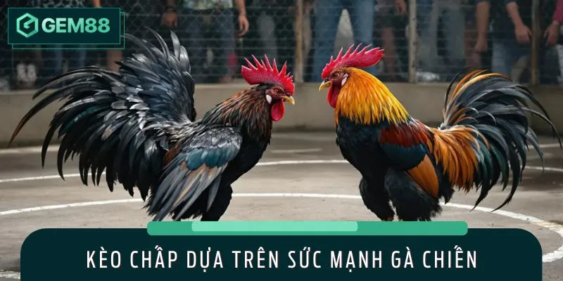 Kèo chấp là lựa chọn được nhiều người chơi yêu thích
