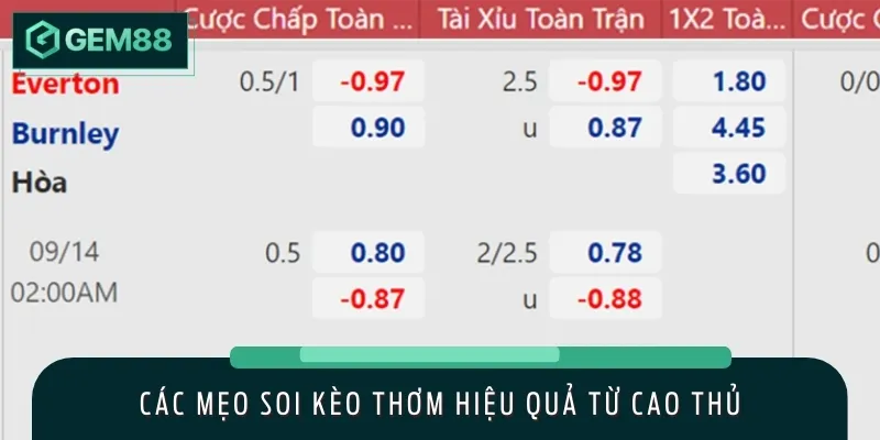 Chi tiết các mẹo soi kèo thơm hiệu quả để tăng tỷ lệ thắng