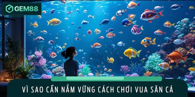 Ngư thủ dễ dàng làm chủ game nhờ nắm vững cách chơi